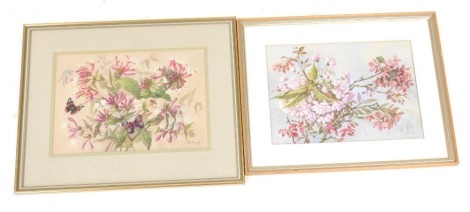 Grace Margaret Brough (British 20thC), Honeysuckle, Cherry Blossom, pair of watercolours, signed, 22.5cm x 33cm and 23cm x 33cm.