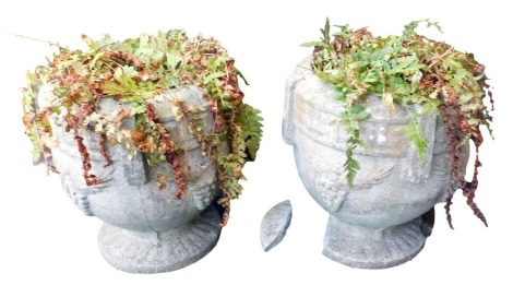 A pair of concrete planters of circular form, each containing ferns, 37cm high.