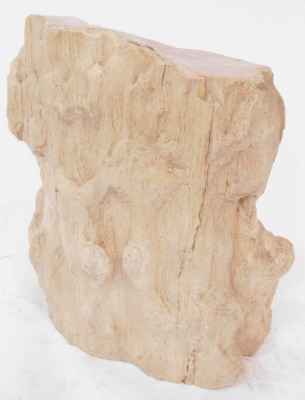 A section of petrified wood, 26cm high, 24cm wide. - 3