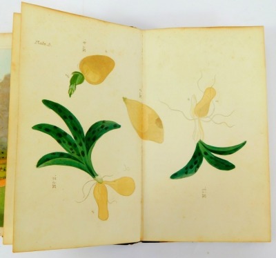 The Florist's Manual or Hints for the Construction of a Gay Flower Garden, by the Authoress of Botanical Dialogs and Sketches of the Physiology of Vegetable Life, illustrated with coloured plates, second edition enlarged, gilt leather and marbled boards, - 2