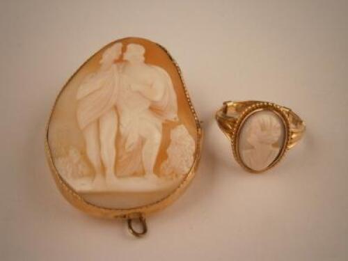 A shell cameo