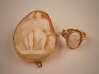 A shell cameo