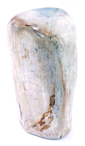 A section of petrified wood, 9cm high.