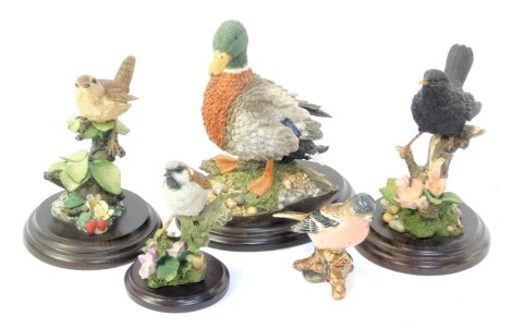 Four Country Artist bird figures, comprising Broadway Blackbird CA569, Sparrow with ivy leaved toadflax 01315, Wren - Broadway CA421, Duck, together with a Beswick figure model as a Chaffinch 991. (5)