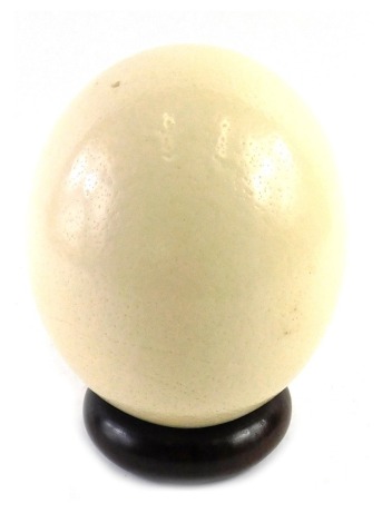 An undecorated ostrich egg, on a turned wooden stand, 16cm high.