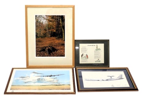 Three aviation prints, comprising after Dugald Cameron, Centenary AEW1 8 Squadron, bearing printed signatures, 27.5cm x 40.5cm, after Gordon Sage, For Faith and Freedom, limited edition print, signed in pencil to margin, 34.5cm x 52.5cm, after Christopher