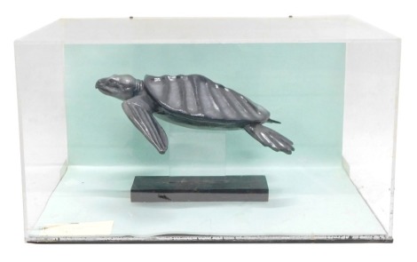 A museum replica of an Archelon turtle, in Perspex case, 53cm wide.