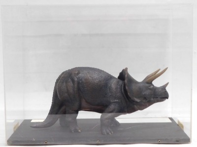 A museum model of a Triceratops dinosaur, in fitted perspex case, 52cm wide. - 2