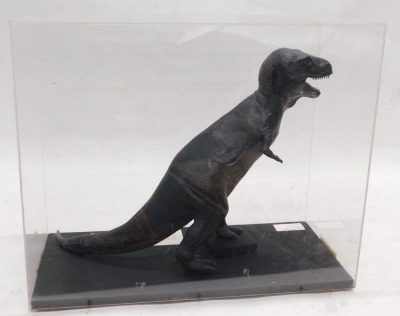 A museum model of Tyrannosaurus Rex dinosaur, in fitted perspex case, 63cm wide. - 2