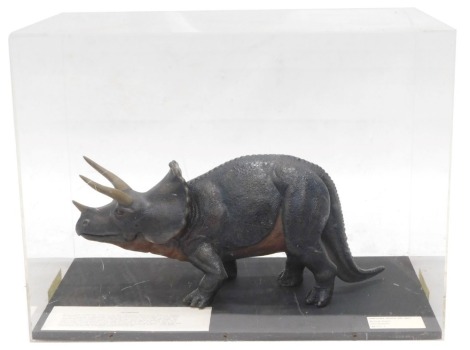 A museum model of a Triceratops dinosaur, in fitted perspex case, 52cm wide.