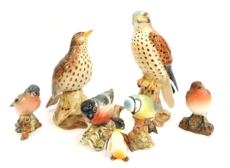 A group of Beswick pottery birds, to include Bullfinch 1042, Robin 980, Peregrine Flacon, 18cm high, etc.