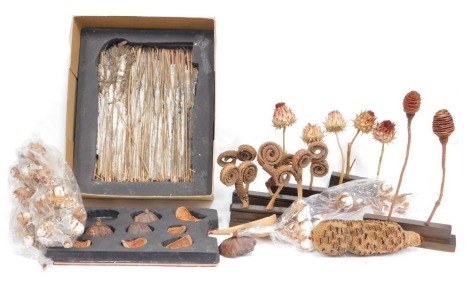 A group of dried plants, bark, and reed, the reed in fitted case, dried fruits, cotton blossoms, etc. (3 boxes)