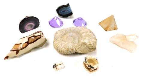 An ammonite fossil, blue and purple agate geodes, monochrome jasper monoliths, lump of quartz, etc. (qty)