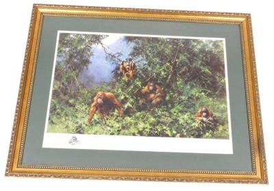 David Shepherd OBE, FRSA (British, 1931-2017). Men of the Woods-Orang-utans, limited edition 642/900, signed, 49cm x 70cm. - 2