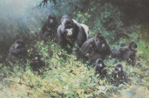 David Shepherd OBE, FRSA (British, 1931-2017). The Mountain Gorillas of Rwanda, limited edition print 1181/1500, signed, 51cm x 70cm.