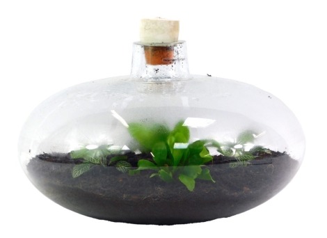 A glass terrarium, of compressed globular form, with stopper, containing four plants, approx 17cm high, 34cm diameter.