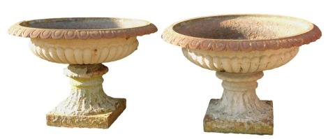 A pair of Victorian cast urns, each with a shell moulded border, on square foot, 50cm high, 76cm diameter.