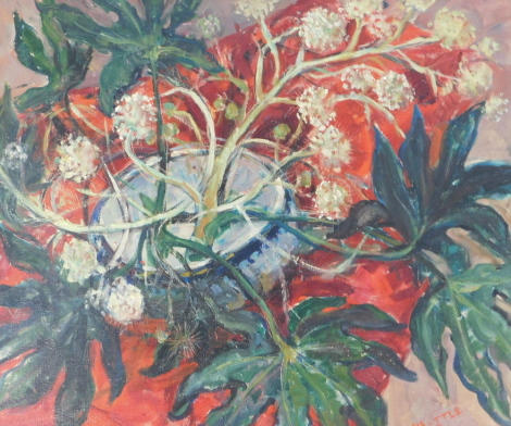 Doris Little. Still life with jardiniere, leaves, red blanket, etc., oil on canvas, signed, 49cm x 59cm. Artist label verso.