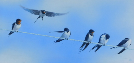 Toni Watts (20thC). Birds, oil on board, signed, 26cm x 50cm.