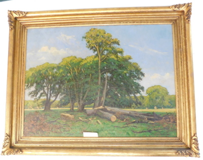 Sr A.J. Moller. Woodland landscape, oil on canvas, signed, 74cm x 99cm. - 2