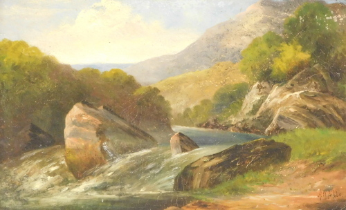 A. W. Bibbs (19thC). Study of the (waterfall) North Wales, oil on board, signed and titled verso, 18.5cm x 29cm.