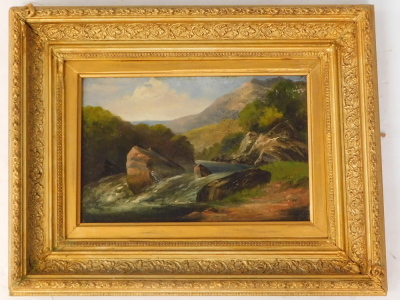 A. W. Bibbs (19thC). Study of the (waterfall) North Wales, oil on board, signed and titled verso, 18.5cm x 29cm. - 2