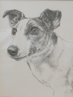 After Lobban. Jack Russell Terrier, print, 20cm x 16cm.