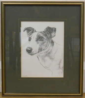 After Lobban. Jack Russell Terrier, print, 20cm x 16cm. - 2