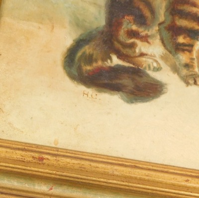 British School (19thC). Pair of cats and butterflies, oil on canvas, monogrammed H C, 24cm x 39.5cm. - 3