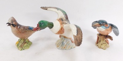 A group of Beswick and other ceramic birds, including a Beswick Barn Owl, 18cm high, a Beswick flying duck, 13cm high, Kingfisher, 12cm high, three other birds, a miniature Barn Owl and Kingfisher, and an unmarked Pigeon. (1 tray) - 2