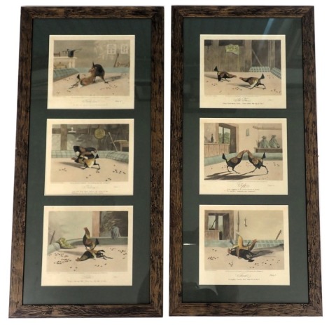 After N Fielding. Cockfighting stages, Set to Fight, Threat, Death, Recovery and Knock Down, each engraved by N Fielding, plates 1-6, in two frames, 74cm x 32cm. (2)