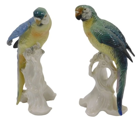 Two similar Karl Ens German porcelain parrots, one in shades of blue and green, 25cm high, the other blue, green and yellow, etc., 24cm high.