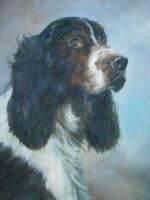 John Trickett (b.1952). Spaniel