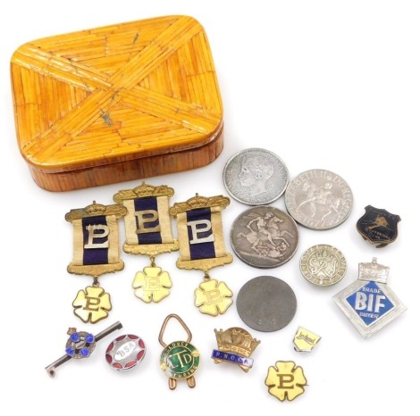 Primrose League interest, etc., to include three Primrose League enamelled medal jewels and a lapel badge, and other various enamelled badges including RNOCA, Fulham FC Supporters Club, BSA, etc.