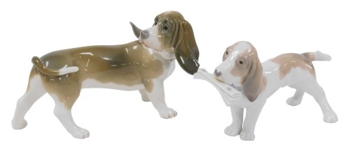 A Lladro porcelain figure of a basset hound with a newspaper in its mouth, boxed, and a further figure of a basset hound modelled looking back towards his tail. (2)