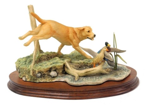 A Border Fine Arts sculpture of a labrador chasing mallards, designed by Ayres, limited edition 307/1500, with stand.