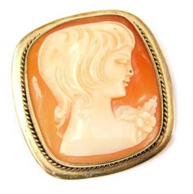 A shell cameo brooch, bust portrait of a lady, in a yellow metal mount, with safety chain as fitted.