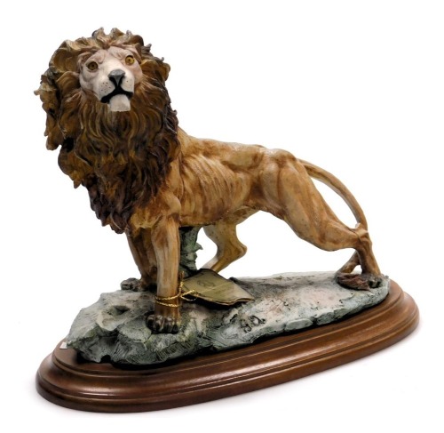 A Giuseppe Armani Capodimonte porcelain figure of a lion, on an oval wooden base, with certificate, 25cm wide.