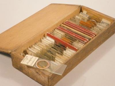 A box containing various microscope slides