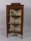 An Edwardian mahogany and painted display cabinet