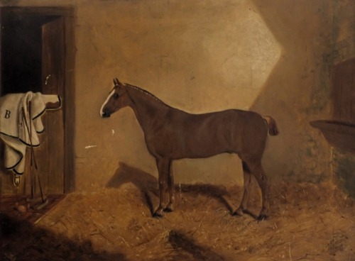 Attributed to J.C Partridge (19thC). Polo pony in a stable, oil on canvas, 44.5cm x 59cm.