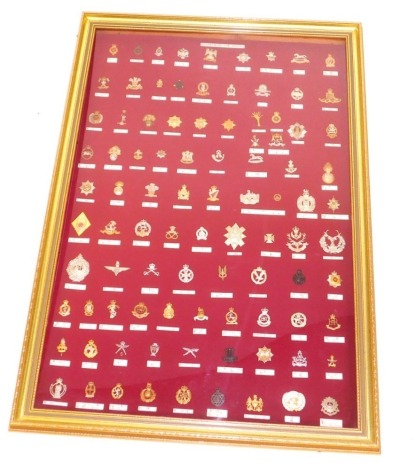 A collection of British Regimental cap badges, including Household Cavalry, Guards Regiment, Hussars, various infantry, Fusiliers, Parachute Regiment, Marines, Royal Military Police, Logistical Regiments, etc., 93, all mounted with annotations, framed and