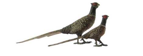 Two cold painted bronze figures, each modelled as a pheasant, 10cm high and 6cm high.