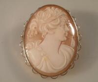 A shell cameo brooch in 9ct gold mount