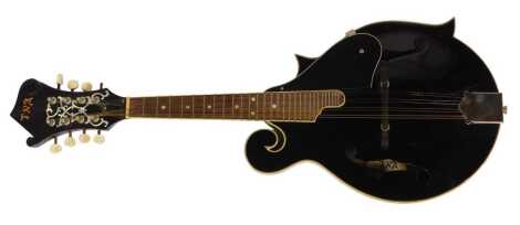 A TNA mandolin, model number M-04-FB-03, cased.