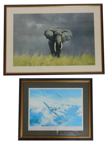 After Robert Taylor (British, b.1946). Spitfire, print bearing signatures, 32cm x 46cm, together with a print After David Shepherd, depicting an elephant, 50cm x 75cm. (2)