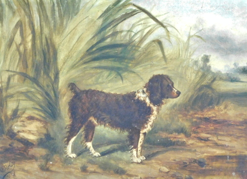 Cowley (19thC/20thC). Our Spaniel, oil on canvas, signed, dated (19)07, titled verso, 21.5cm x 29cm.