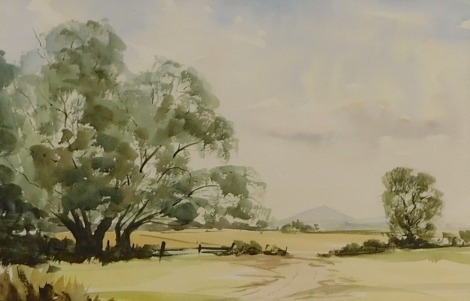 Charles Barker (20thC). Summer around the Wrekin, watercolour, signed and titled verso, 32cm x 48cm. Artist label verso.