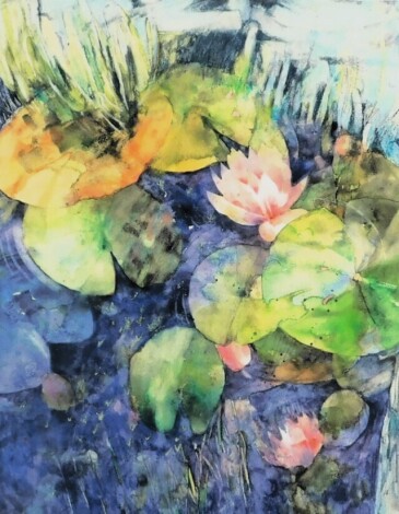 Shirley Trevena (b1940). Scottish waterlilies, artist signed, titled, limited edition coloured print 8/150, 52cm x 42cm.