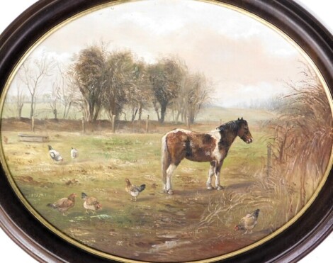 John Macc (19th/20thC). Pony and chickens, oil on board, monogrammed and attributed verso, 38cm x 48cm.